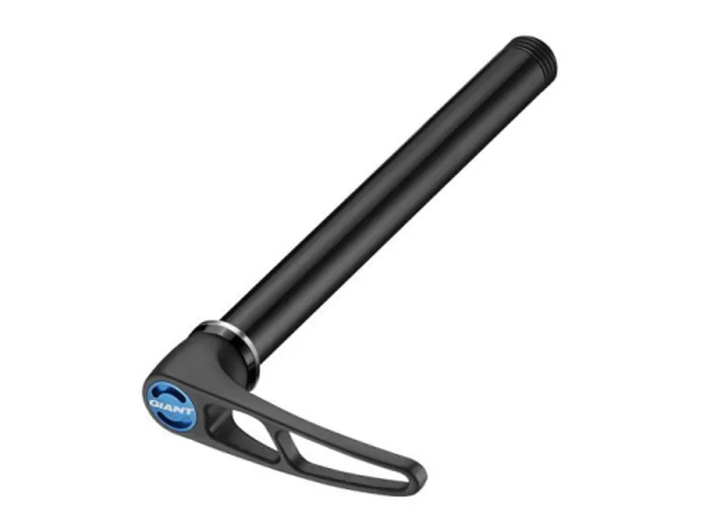 2020 Giant DT RWS 10 MTB Thru-Axle in Black