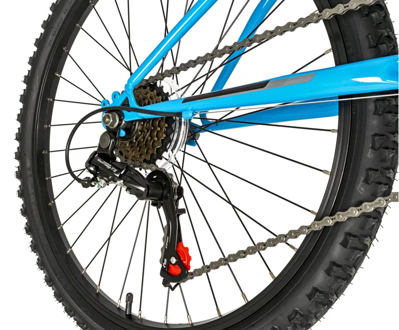 Falcon Venus 24 Sky Blue 14 inch frame-2