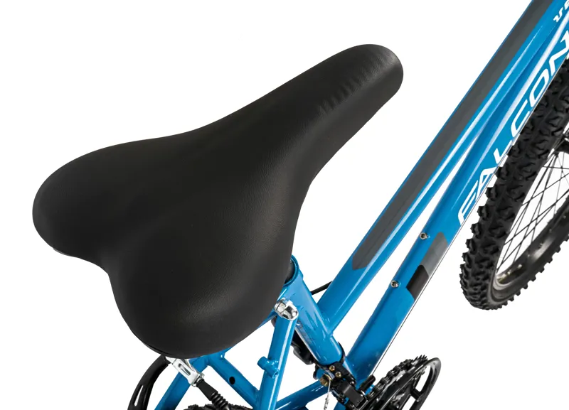 Falcon Venus 24 Sky Blue 14 inch frame-4