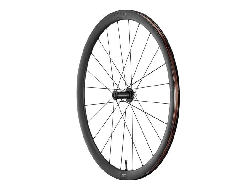 Giant SLR1 36 Tubeless Disc Brake Front Wheel-1