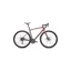 Specialized Diverge E5 Gravel Bike In Gloss Spice/Gunmetal