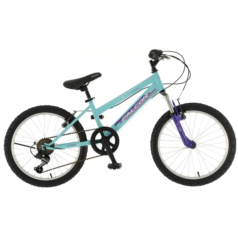 Falcon Jade 20in Childrens Bike in Blue/Purple