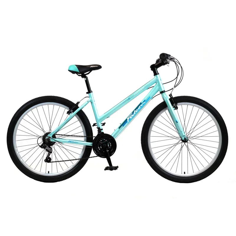 Falcon Paradox L17 Mountain Bike in Mint