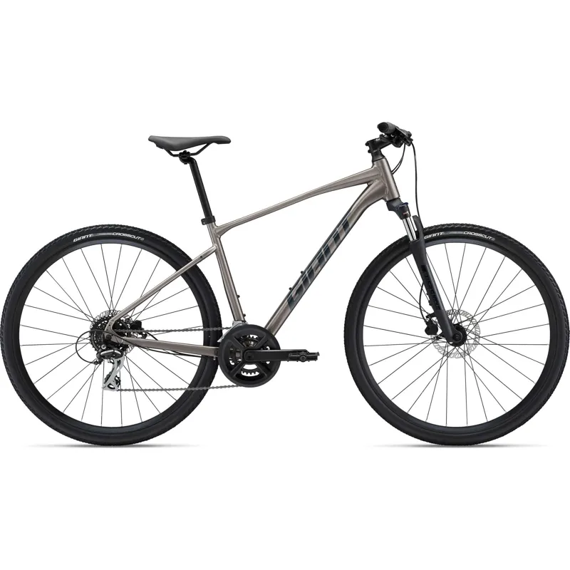 2022 Giant Roam 3 Disc Hybrid Bike in Metal