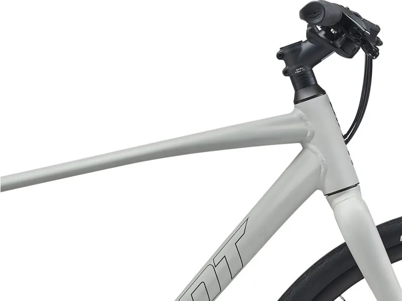 2021 Giant Escape 2 Disc Hybrid Bike in Grey-6