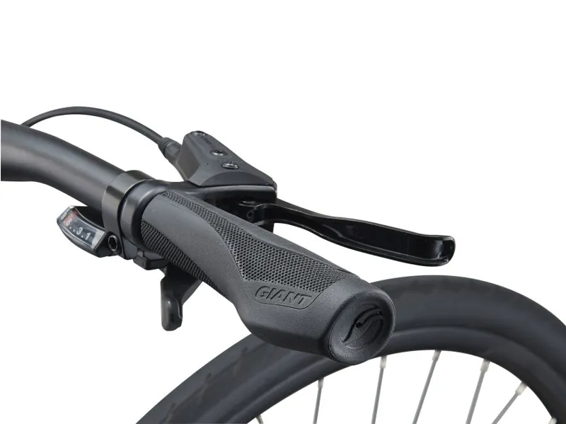 2021 Giant Escape 2 Disc Hybrid Bike in Grey-2