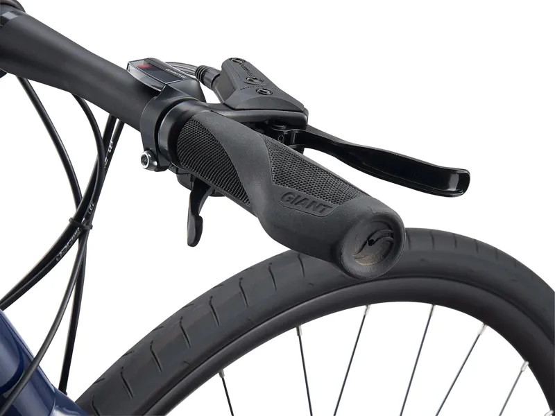 2021 Giant Roam 2 Disc Hybrid Bike in Grey-2