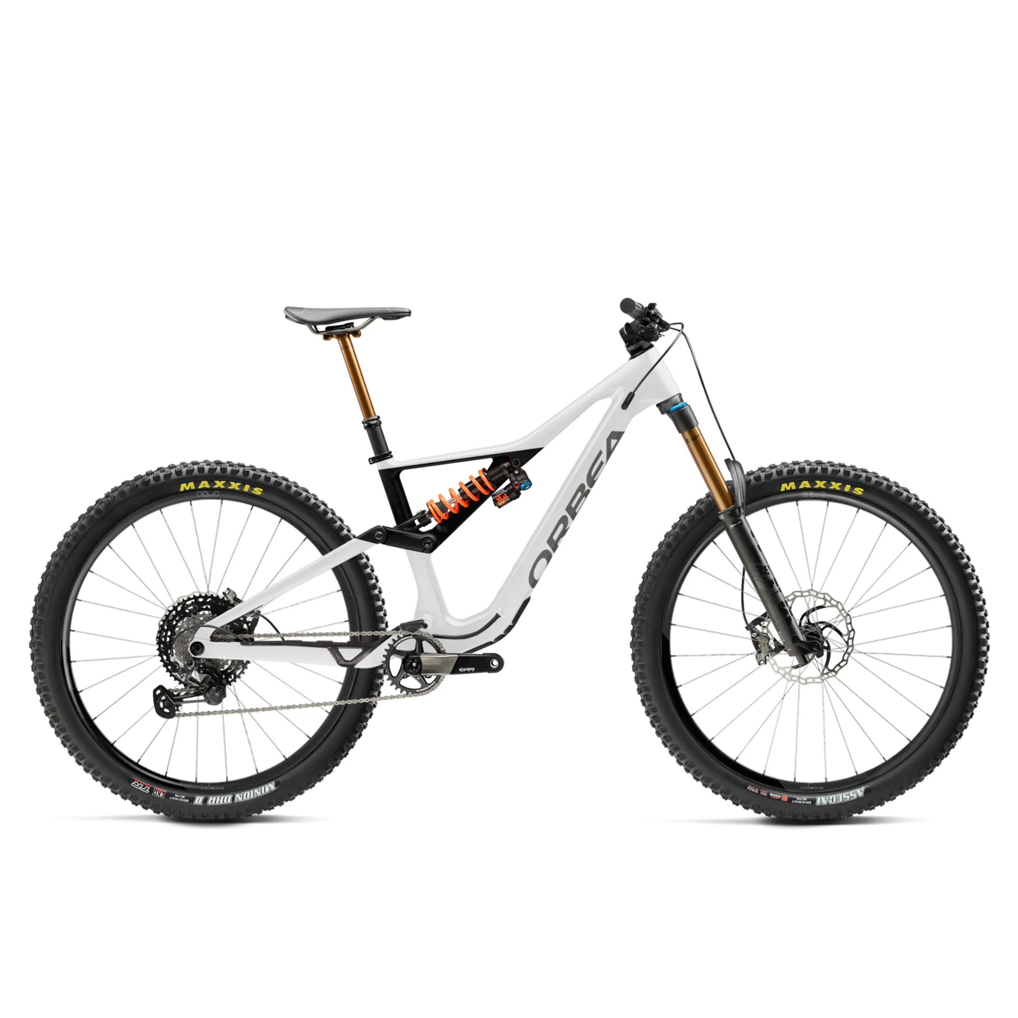 Orbea Rallon M20 Mountain Bike Custom