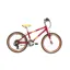 2020 Raleigh Pop 20 Kids Bike in Red