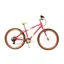 2020 Raleigh Pop 24 Kids Bike in Pink
