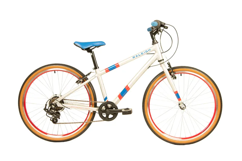 2020 Raleigh Pop 24 Kids Bike in Silver