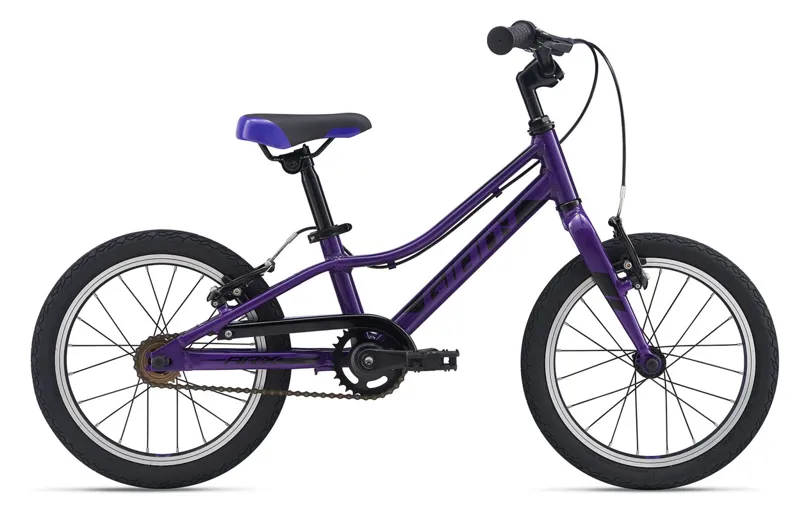 2020 Giant ARX 16 Childs Bike in Purple