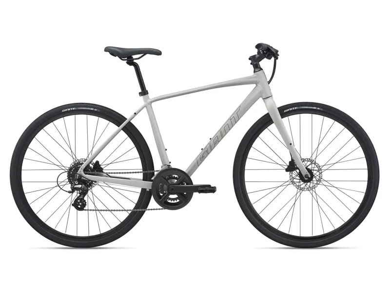 2021 Giant Escape 2 Disc Hybrid Bike in Grey