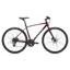 2021 Giant Escape 2 Disc Hybrid Bike in Red