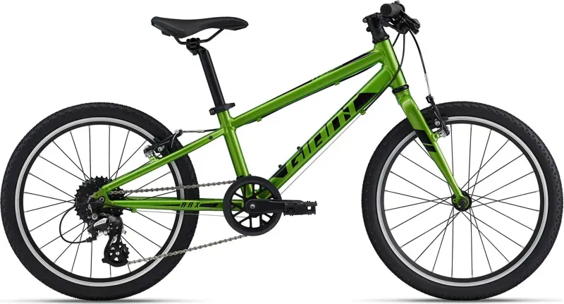 Giant ARX 20 Kid's Bike in Green