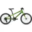 Giant ARX 20 Kid's Bike in Green