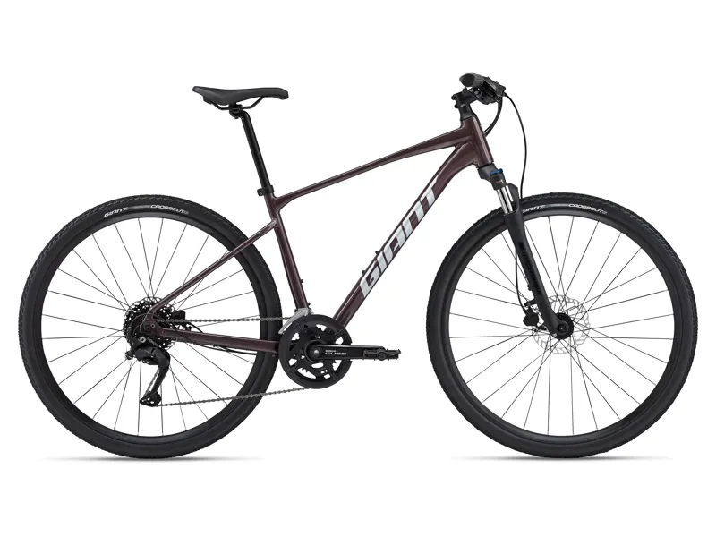 Giant Roam 2 Disc Hybrid Bike in Charcoal Plum