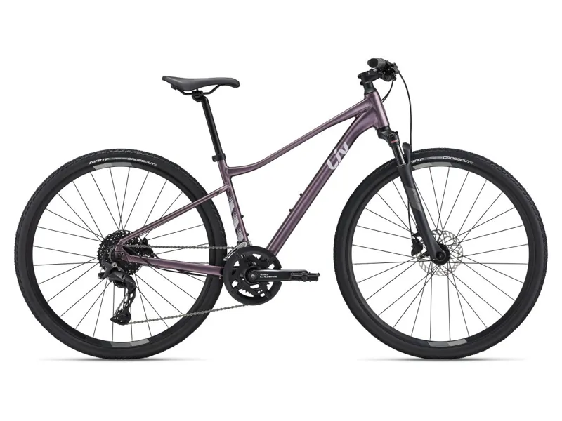 Liv Rove 1 Mountain Bike In Twilight Mauve