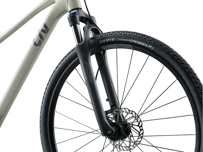 Liv Rove 3 Gravel Bike in Pulp Gray-3