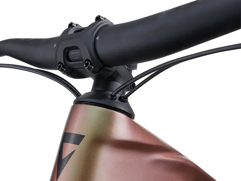 Giant Trance X Advanced E+ EL 3 25km/H Messier/ Panther Messier/Panther-7