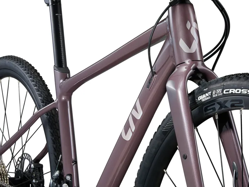 Liv Devote 1 Gravel Bike in Charcoal Plum-2
