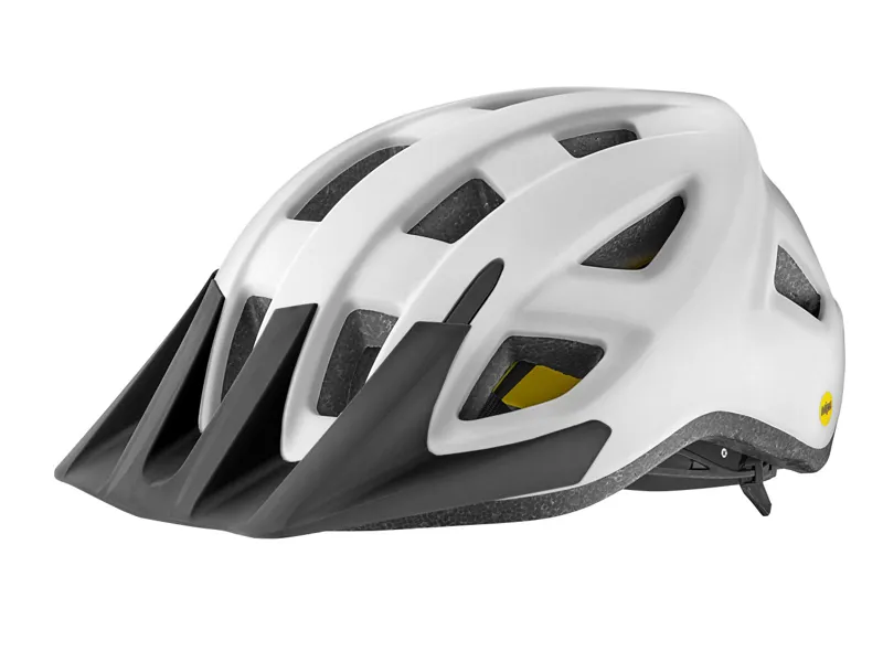 Giant Path Helmet M-L 53- 61cm