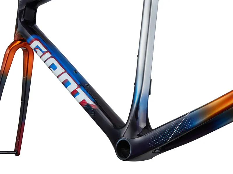 Giant TCR Advanced SL Team Frameset-5