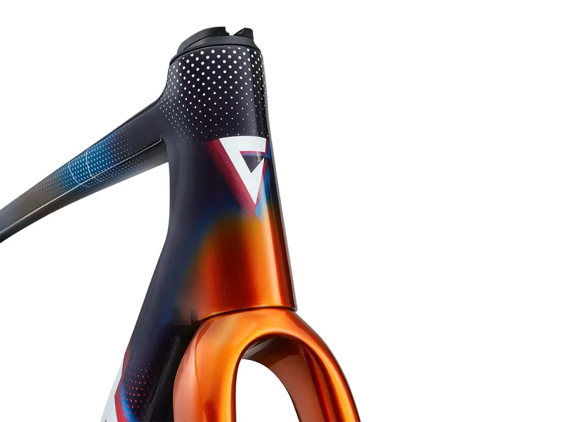 Giant TCR Advanced SL Team Frameset-3