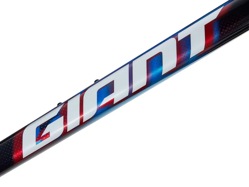 Giant TCR Advanced SL Team Frameset-4