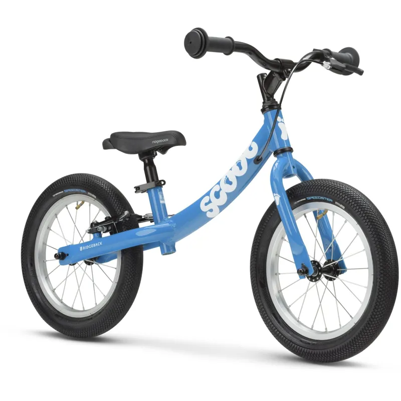 Scoot XL - Burley Blue-1