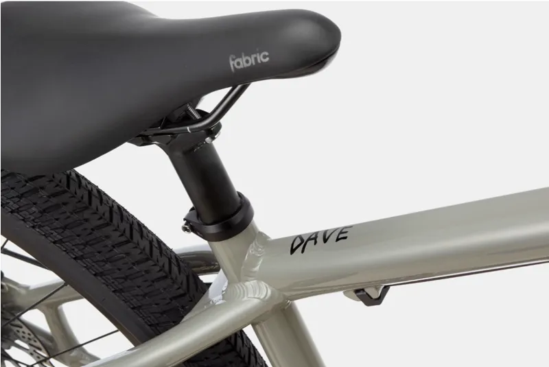 2021 Cannondale Dave Trail Bike in Grey-1