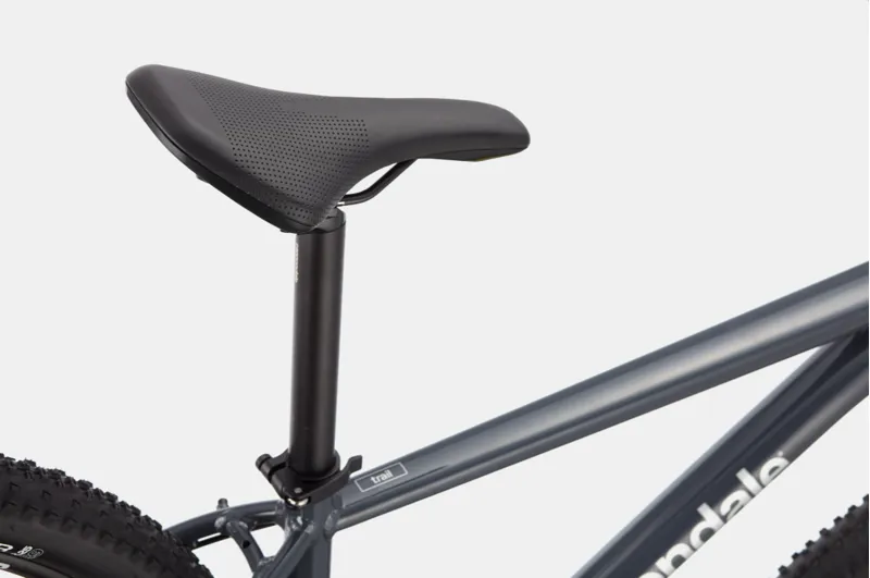 2021 Cannondale Trail 6 Mountain Bike in Grey-1